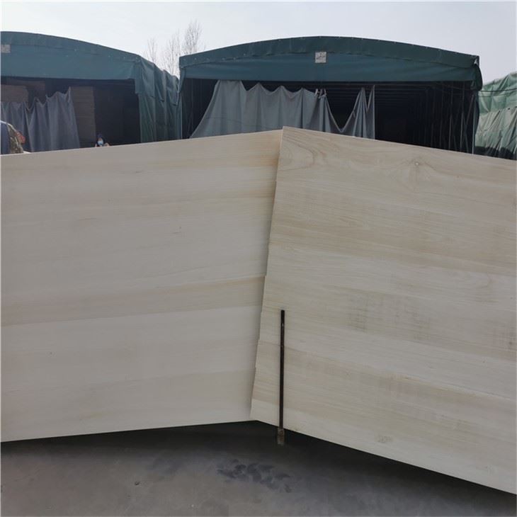 18 mm paulowniahout